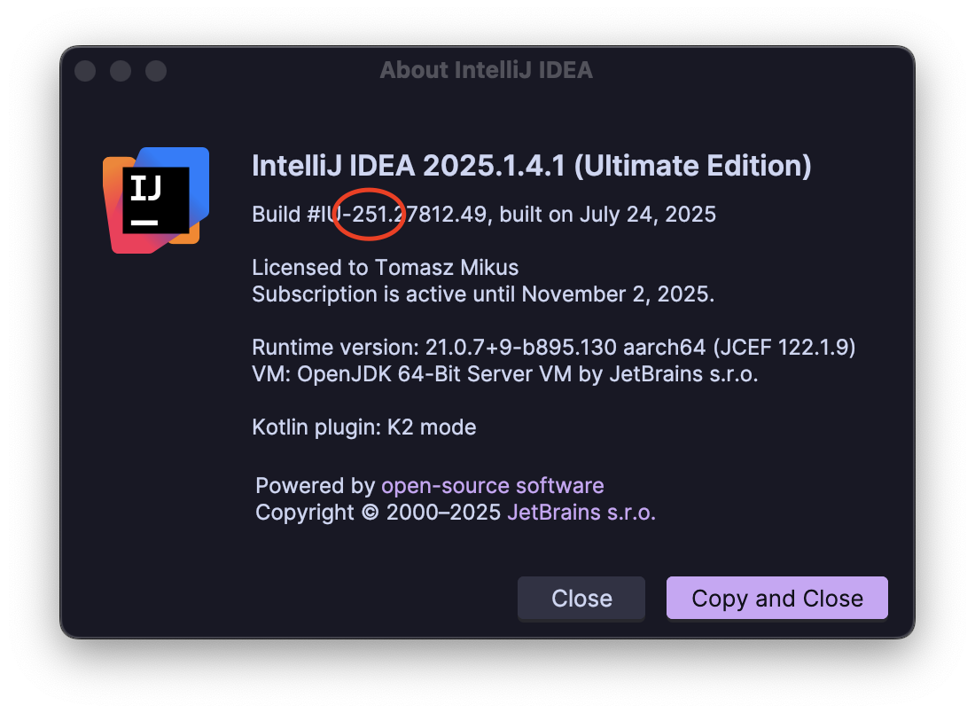 An image showing IntelliJ Build #IU-251.27812.49 with the 251 highlighted